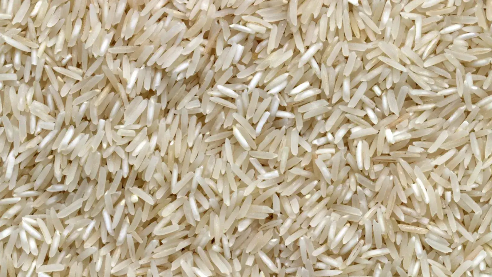Rice, Dal &   Daily Needs