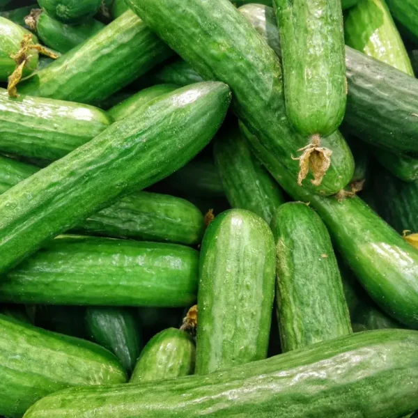 Fresh Cucumber — 500 g