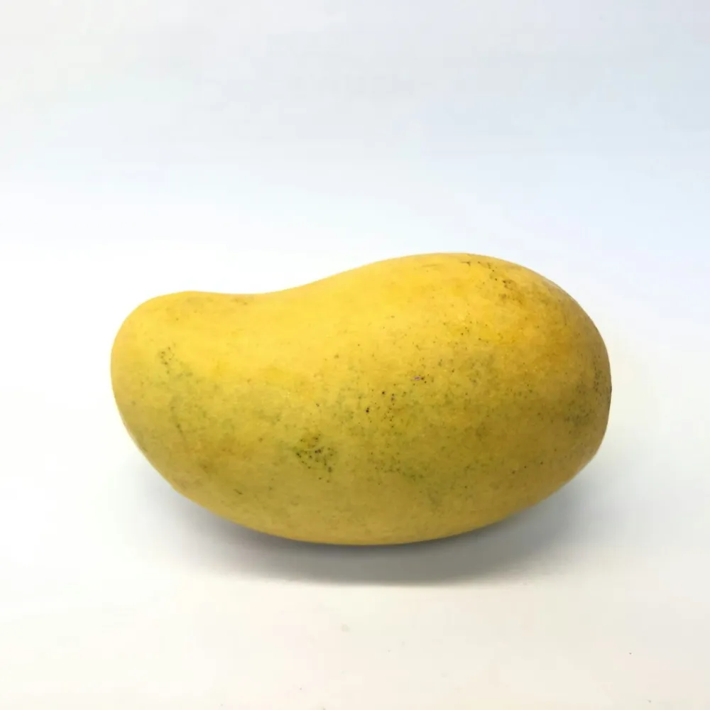 Himsagar Mango — 1 kg — 2