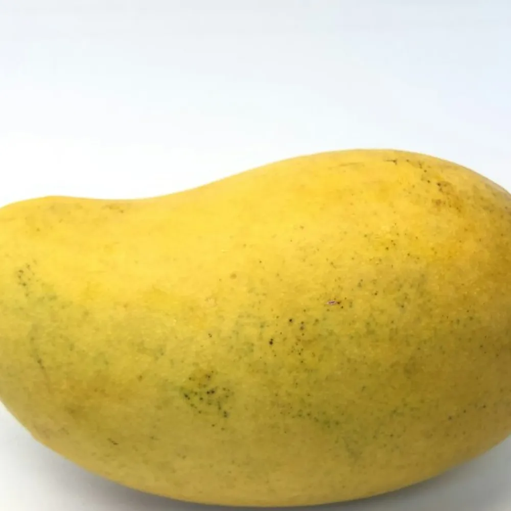 Himsagar Mango — 1 kg — 4