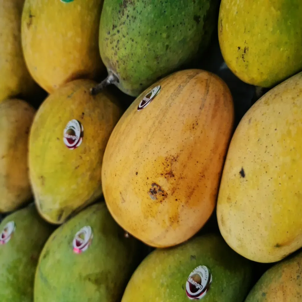 হিমসাগর আম — ১ কেজি