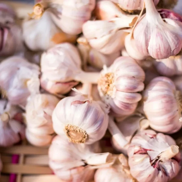 Local Garlic — 500 g
