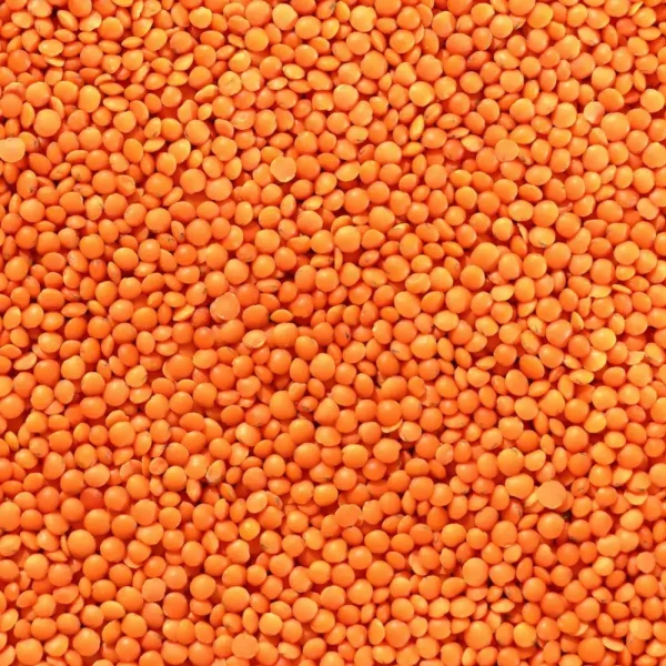 Masoor Dal (Fine) — 1 kg